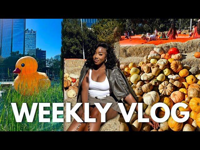 I went to a BOOTLEG pumpkin patch ... but yay, its finally fall | COURTREEZY 2.0