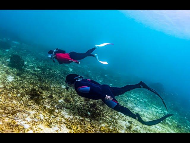 보라카이 호핑투어 프리다이빙 스노클링 스킨다이빙 boracay boracayfreedive boracayfreediving boracaydiving