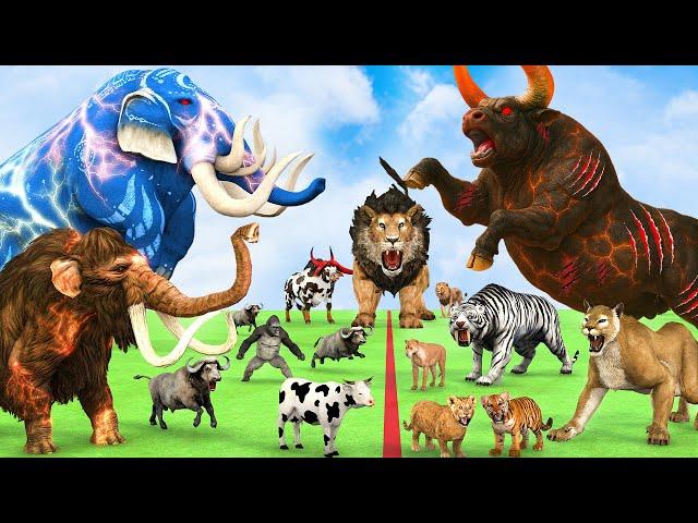 5 Giant Mammoth Elephant Cow Vs Giant Monster Cow Vs 5 Giant Lion Tiger Cub Saved By Woolly Mammoth