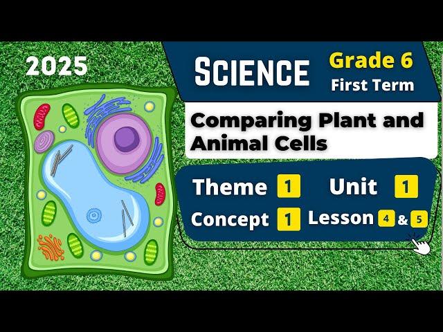 Comparing Plant and Animal Cells | Grade 6 | Unit 1 - Concept 1 - Lesson 4&5 | Science