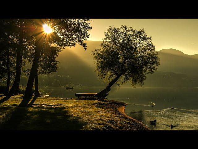 Morning Flute Music | Himalayan Flute Music | Mountain Flute(बाँसुरी) | Meditation Music