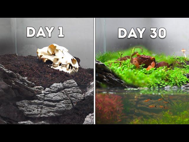 I Simulated an Island Ecosystem in an Old Fish Tank (40 Days)