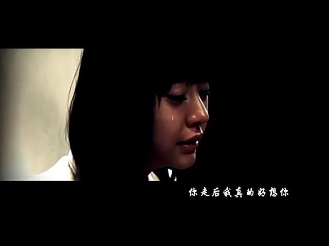 好想再爱你 — 潘广益 [MVC] ©™