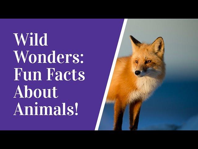 "Wild Wonders: Unveiling Fascinating Animal Fun Facts!" || MindBenderHQ