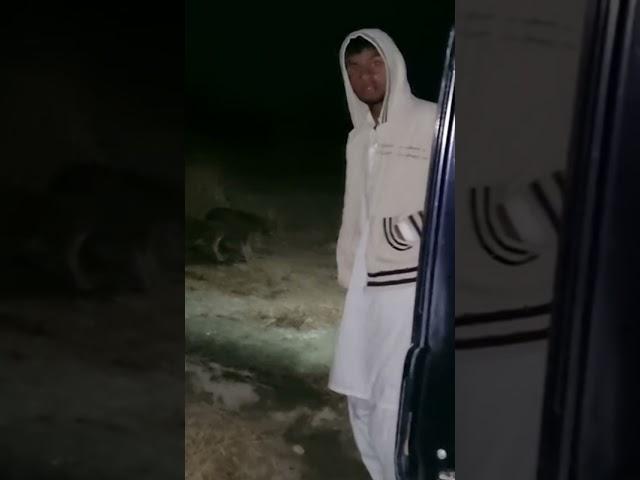What is this guys tell me...