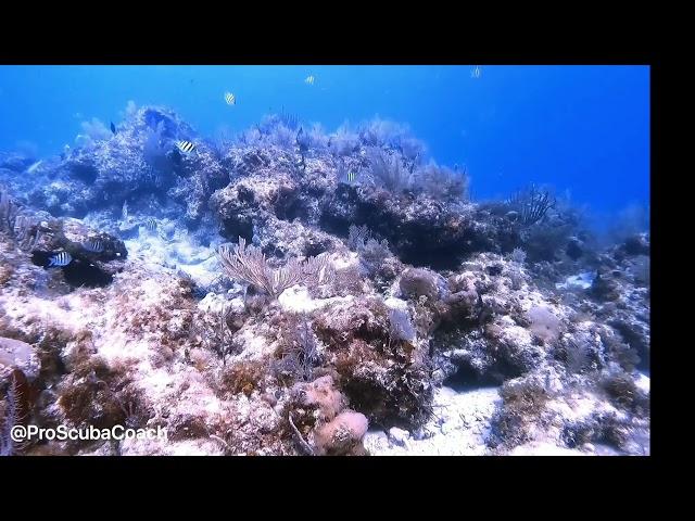 Dive Sandals Resorts - PADI Shallow Water Diving