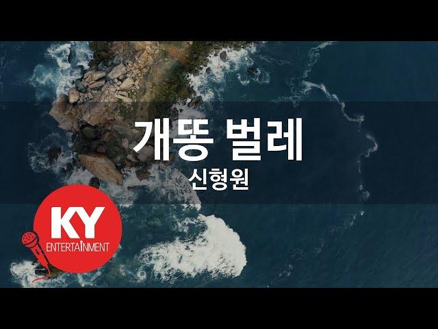 [KY ENTERTAINMENT] 개똥 벌레 - 신형원 (KY.117) / KY Karaoke