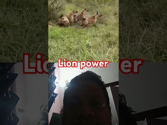 Lion power #animals #lion #wildlife #wildanimals #nature #anime #animeedit #onepunchman #music #cyb