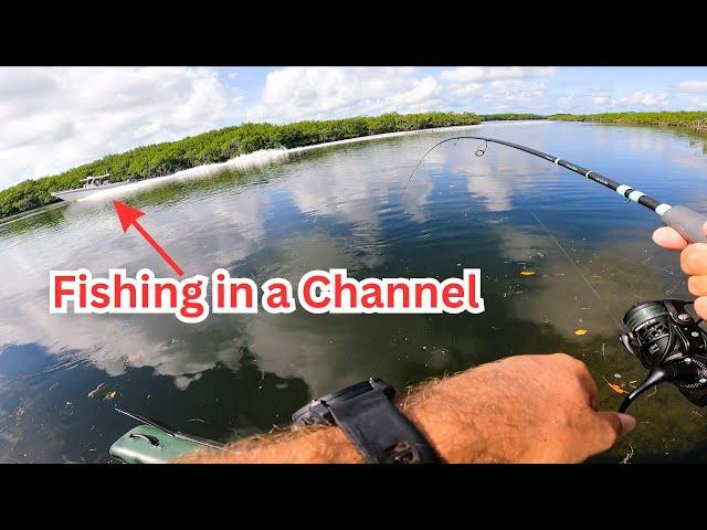 Fishing Channels & Mangroves in the Keys {Catch & Cook}
