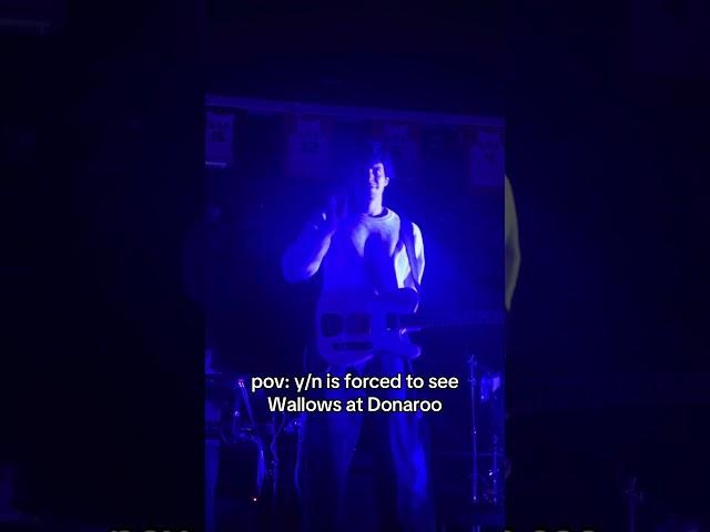 main character dreams came true #concert #noticed #celebrity #wallows #performance #stage #fanfic