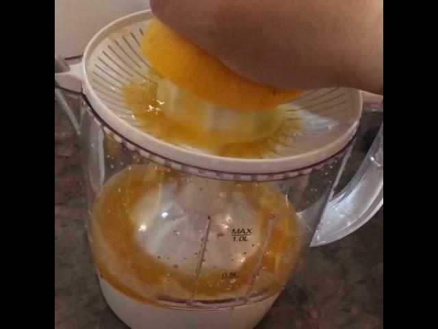 1 L citrus juicer from kmart