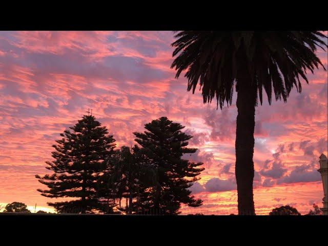 AMAZING SUNSET | ENJOY THE BEAUTIFUL SUNSET AND BIRD SOUNDS