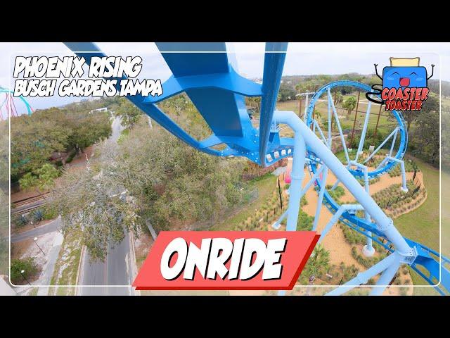 Phoenix Rising - Busch Gardens Tampa - Rappeliger B&M Family Inverter | POV