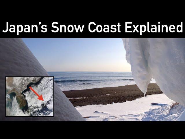 Bizarre Climates | Japan's Snow Coast Explained