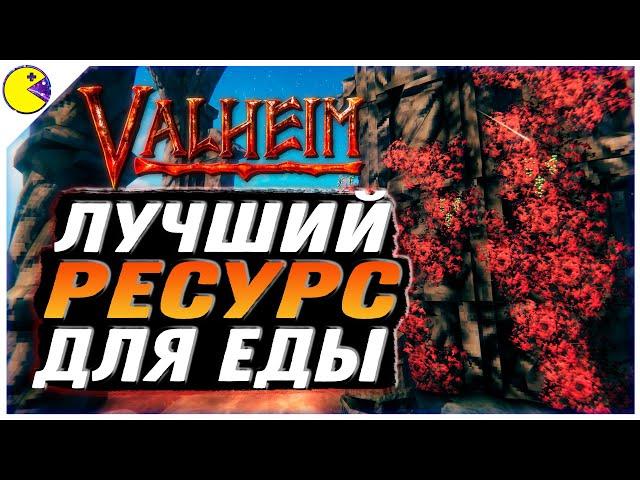 Valheim Пепельные Земли | Топ Виноград и Новая Еда | Valheim Гайд