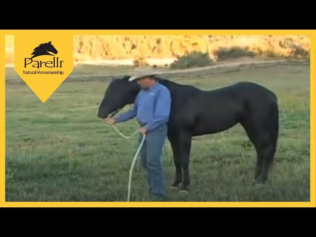 Parelli Natural Horse Training Tip - Pat Parelli shows how to lead a horse