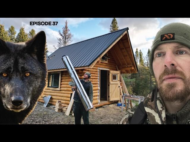 Log Cabin Build on Off-Grid Homestead |EP37| STOVE, WOLVES, FLOOR