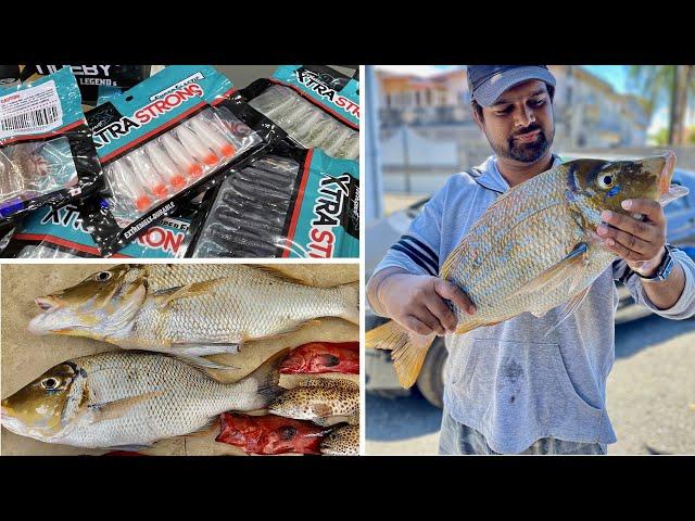 Ep#12-Dropshot with Techspot XtraStrong Elastic Soft Lure - Fishing Beach Mauritius