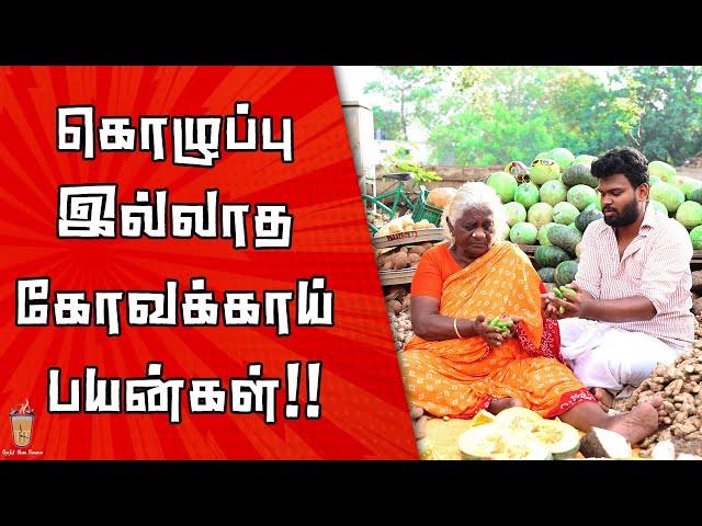 Kovakkai payankal | கோவக்காய் சமைக்க சொல்லித்தரும் Owner ஆயா | Theneer Idaivelai