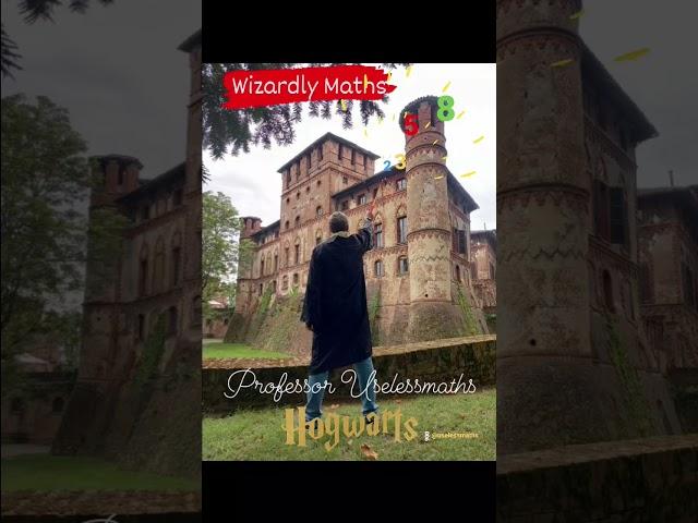 Wizardly Maths Professor  Uselessmaths  #hogwarts #wizard #harrypotter #jkrowling #piovera #castello