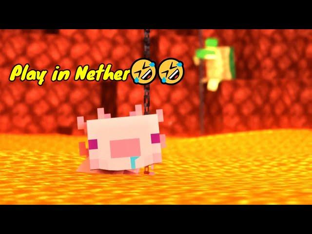 What are you guys doing in the Nether? 【My Best Work Compilation】#parotter #MINECRAFT