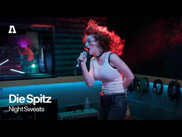 Die Spitz - Night Sweats | Audiotree Live