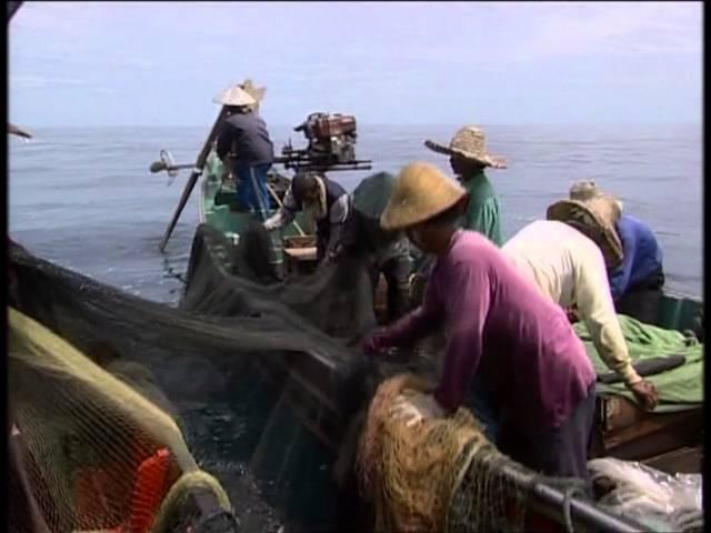 Fishing Adventures in Malaysia Documentary