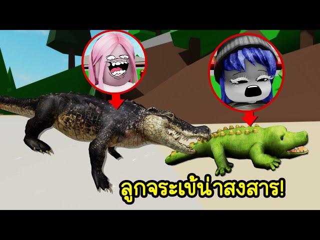 เป็นลูกจระเข้ที่น่าสงสารที่สุดในโลก! | Roblox Be a Alligator