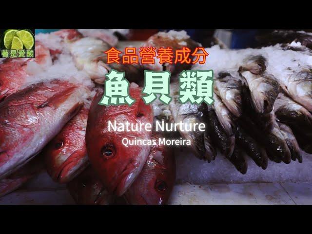 食品營養成分：魚貝類 Nature Nurture - Quincas Moreira 版本：20240523