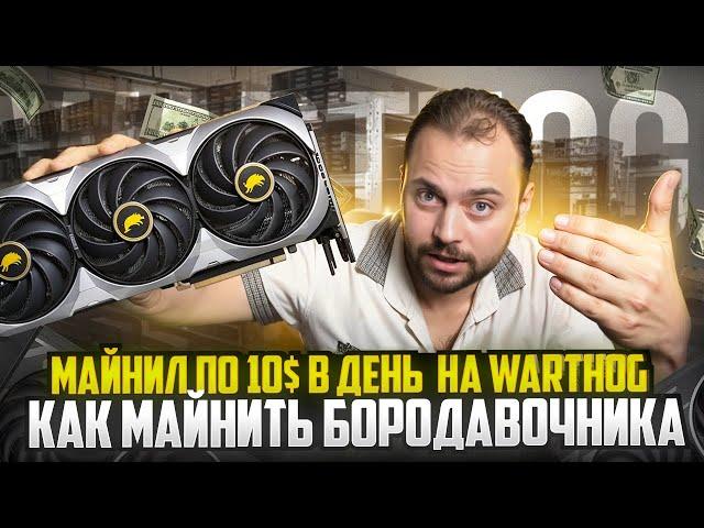 Майнили по 10$ в день с компа на Warthog | Как майнить Бородавочника