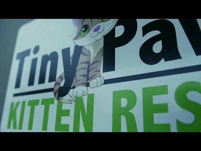 Tiny Paws Commercial