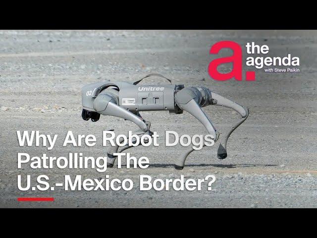 What's the Deal With Robot Dogs at the U.S.-Mexico Border? | The Agenda