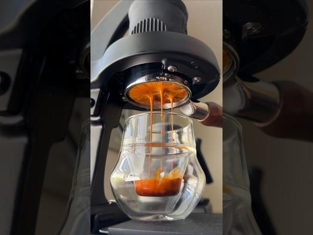 The MOST Satisfying Espresso Video