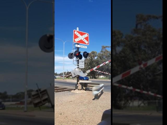 Adelaide Metro train Gawler line