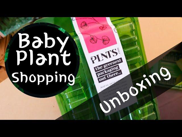 식물 언박싱 /새로운 식물 쇼핑 / Plant Shopping Unboxing 2021