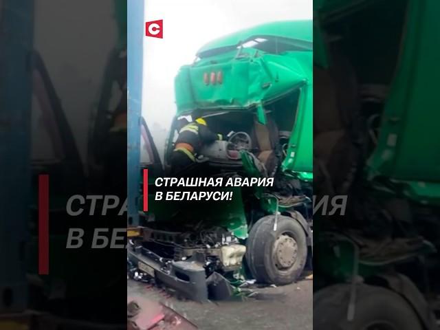 Страшная авария в Беларуси! #авария #чп #беларусь #трагедия #катастрофа #дорога #новости