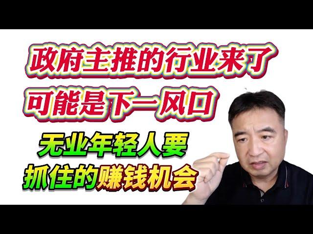 翟山鹰：政府主推的行业来了，可能是下一个风口。无业年轻人要抓住的赚钱机会！