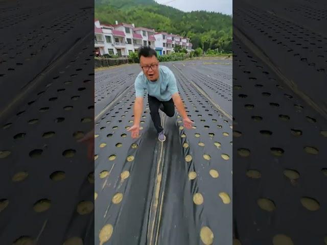 Hidden Farming Trick Revealed#farming #shorts #viralvideo
