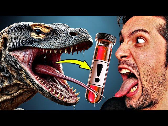 Deadly monitor lizard gives you “superpowers”! Crazy discovery