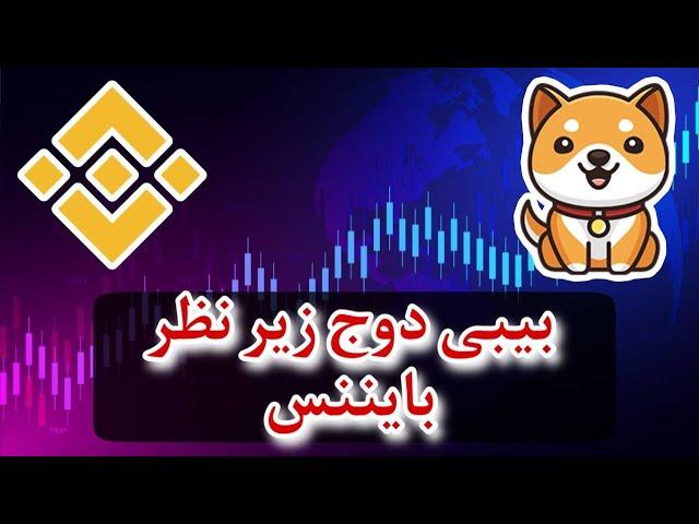 توجه توجه  : بایننس بیبی دوج را زیر نظر دارد | توکن سوزی فوق العاده