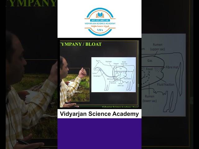 Tympany Explained! #shorts #youtubeshorts #biology #science #tympany