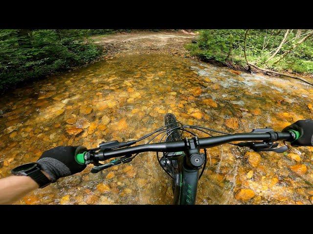 Bull Mountain grabbed ME by the horns | Dahlonega, Georgia