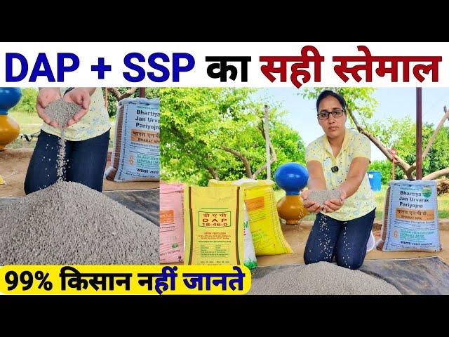 DAP fertilizer और  SSP fertilizer का 4 गुना फायदा कैसे लें | Sarso ki kheti | high power fertilizer