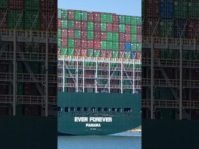 EVERGREEN Container Ship