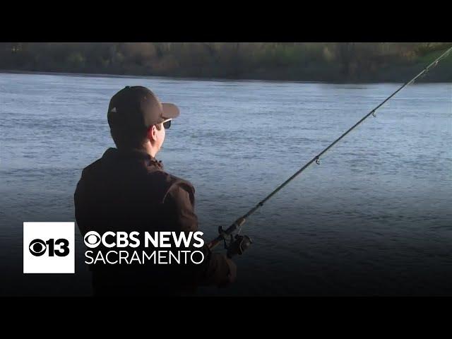 California salmon fishing season is in jeopardy again