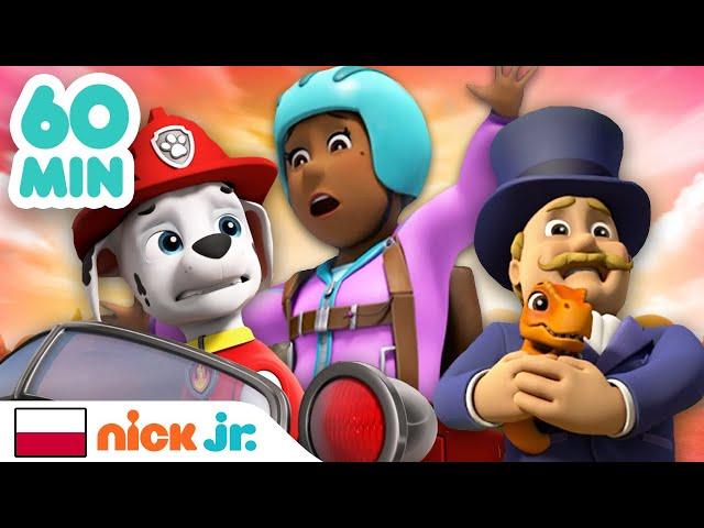 Psi Patrol | Godzina akcji ratunkowych z udziałem burmistrzów! | Nick Jr.