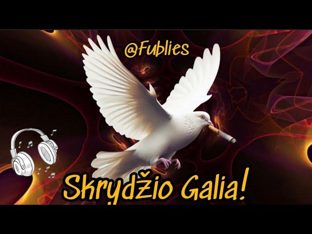 Dj.Fublies - Skrydžio Galia (Official Lyric Video) Lietuviškos Dainos