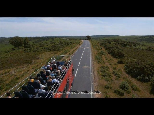 New Forest Tour Bus