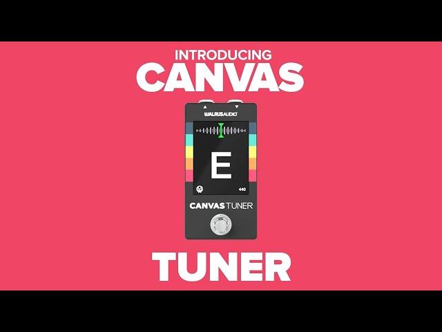 Introducing the Walrus Audio Canvas Tuner