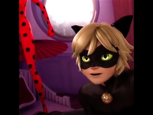 The Main Attraction  #miraculousladybug #catnoir #edit #adrienagreste